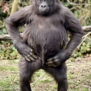 Meet your Posher, Wendy